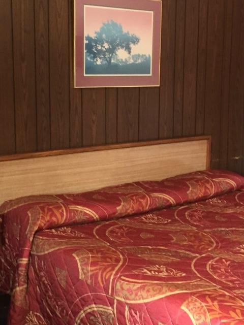Plantation Motel Candler Extérieur photo